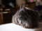 long-haired grey cat sat on a chair 