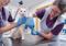 A white cat having their claws clipped by two female vets