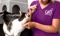 Merseyside Cats Protection Quiz Night