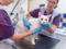 white cat being handled by two female vets