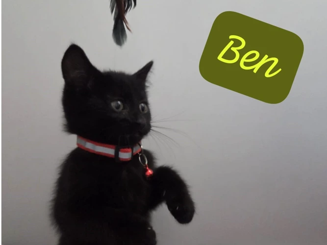 Ben