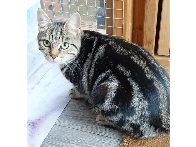 Princess (and Sasha)