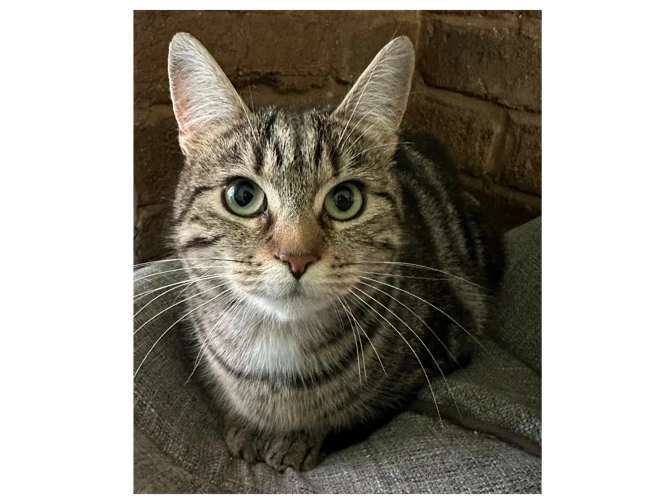 Sasha (and Princess)