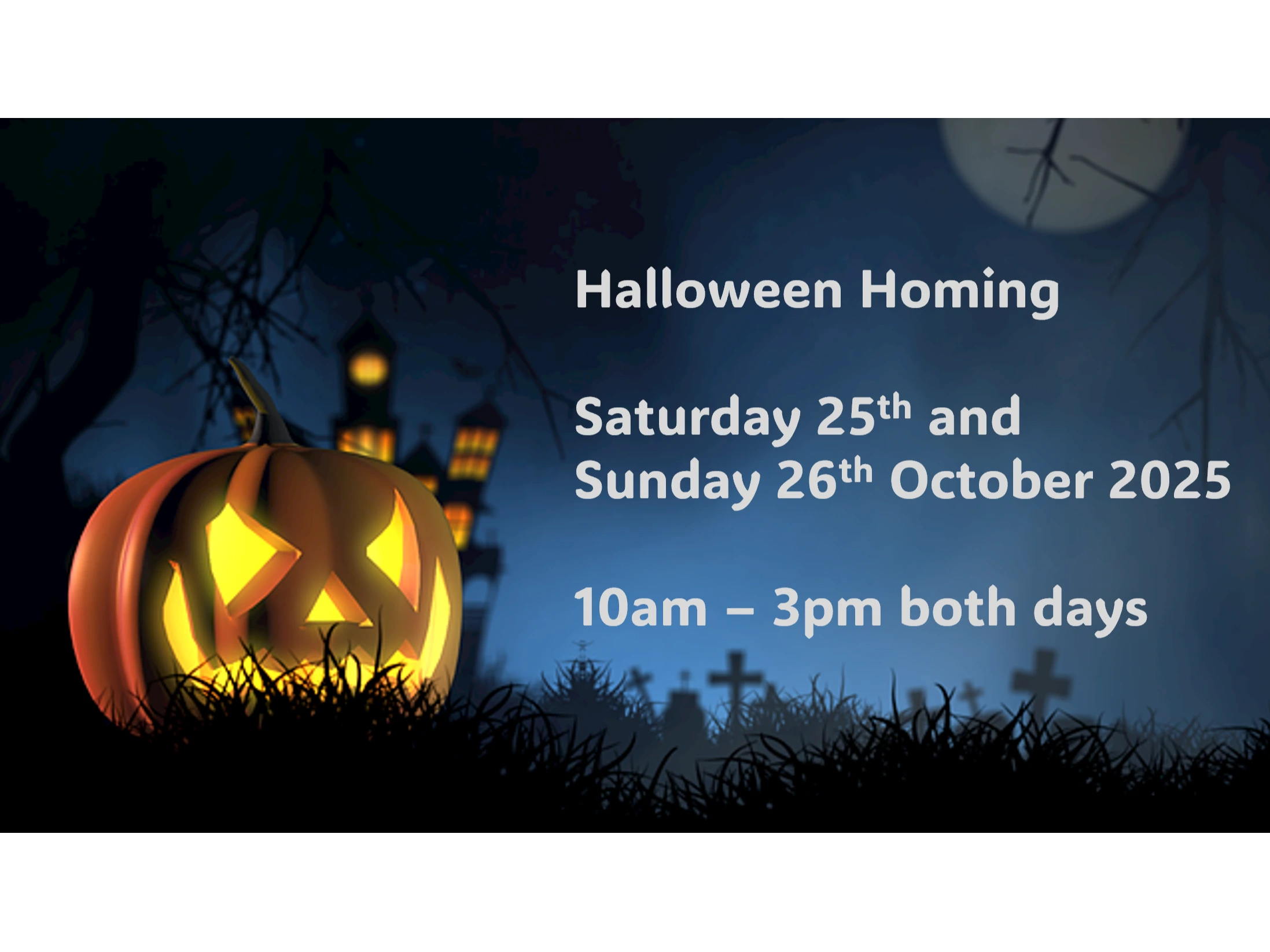 Halloween Homing Weekend