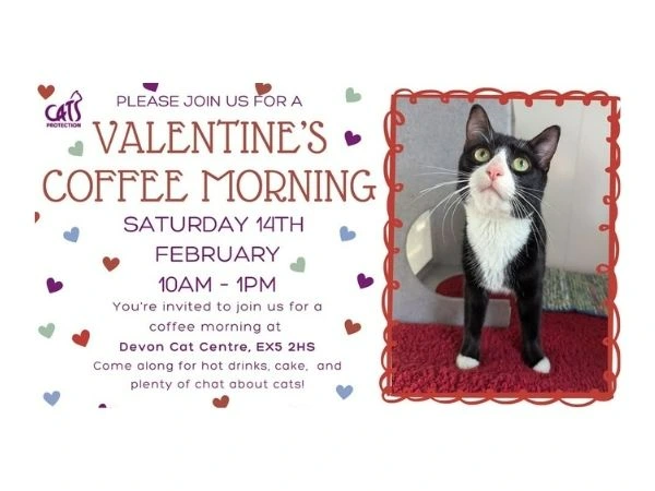 Valentines Coffee Morning