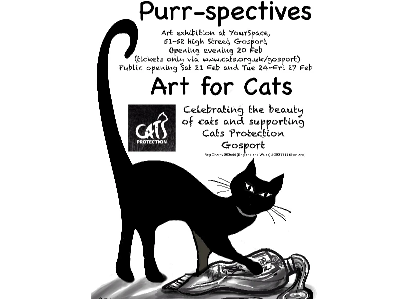Purrspectives - Art for Cats - Exhibition Preview Event