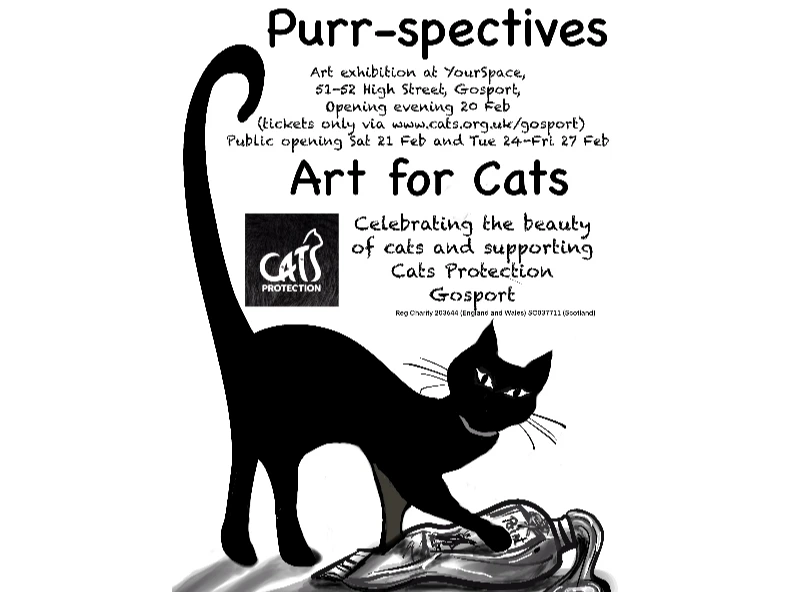 Purrspectives - Art for Cats - Exhibition
