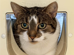 Tuna