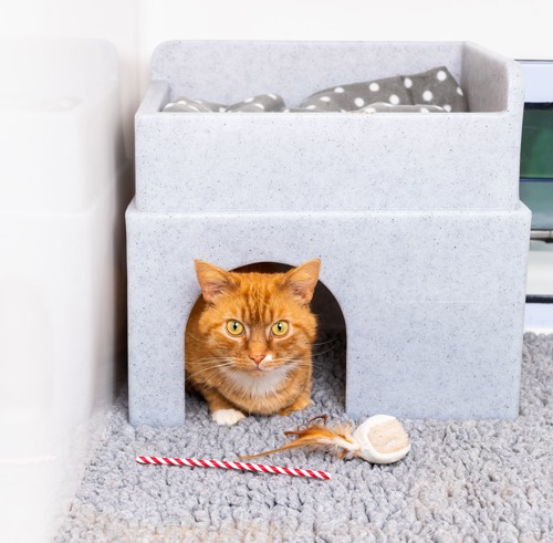 ginger tabby cat sat underneath Cats Protection Hide & Sleep grey plastic cat hide, which is sat on a grey fleece blanket with cat toys in front of it