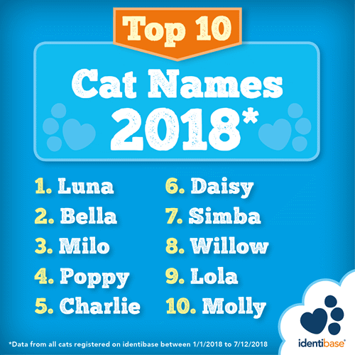 Top cat names 2018 Moon inspired