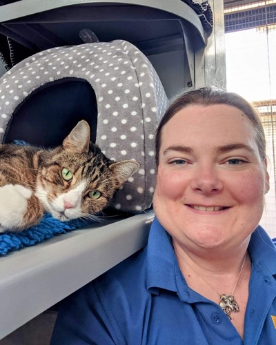 brunette woman wearing blue Cats Protection t-shirt next to brown-and-white tabby cat