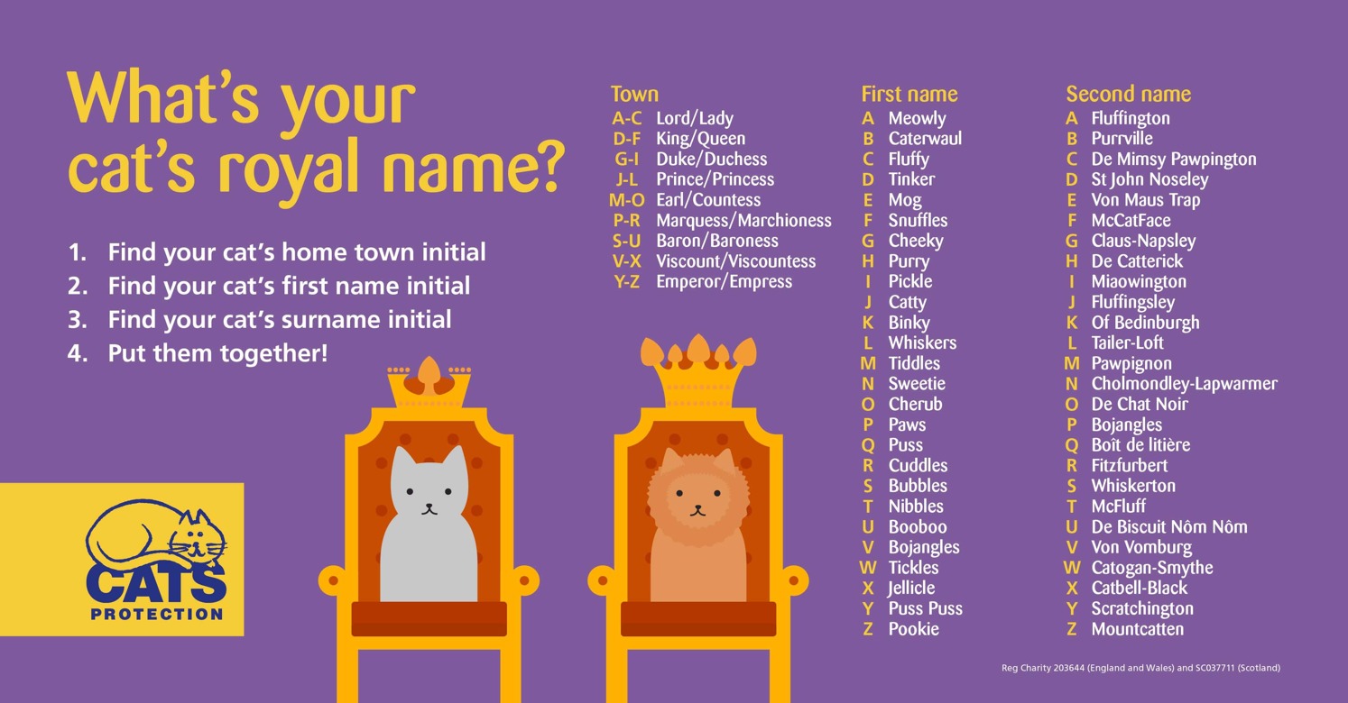 Royal name generator graphic