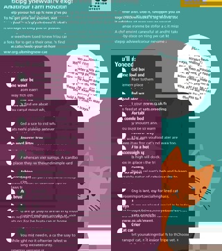 Adopting a Cat - What You Need to Know | Cats Protection