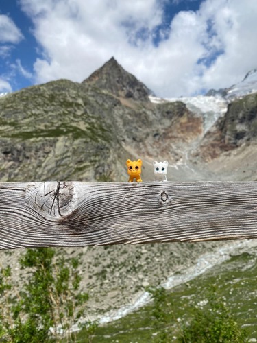 a toy white cat and toy orange cat sat on a fence post with mountains in the background