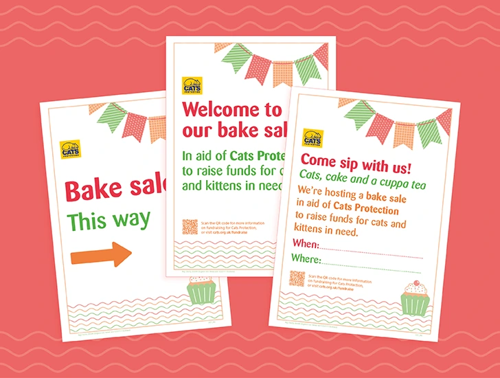 DCF_553 Digital Community Fundraising - Bake Sale - Poster Bundle - Downloadable Assets - Website Cards4.png