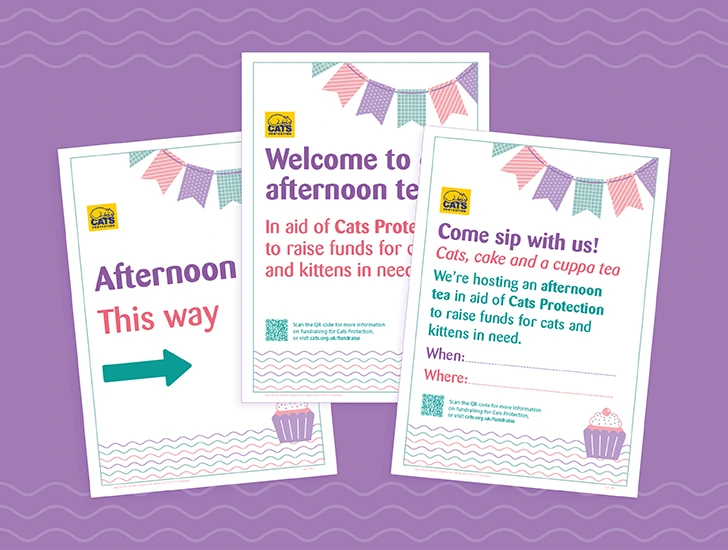 DCF_553 Digital Community Fundraising - Afternoon Tea - Poster Bundle - Downloadable Assets - Website Cards.png