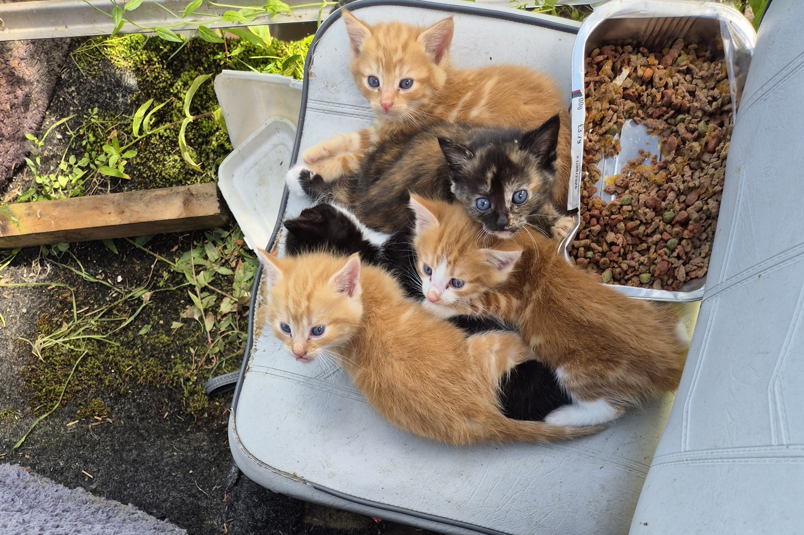 Finding a home for 5 sailors