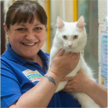 lady holding up a white cat