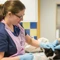 Vet neutering cat