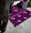 Image of a purple Cats Protection neck buff lying on carpet next to a pair of green trainers and a cat-shaped medal. A black cat is walking past the buff.
