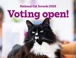 Voting Website Banner