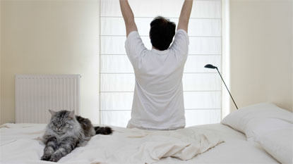 longhaired grey cat sitting on bed next to man