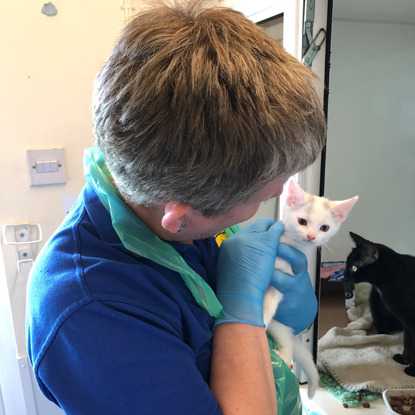 woman in cats protection t-shire holding white kitten