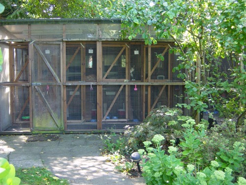 A large outdoor cat pen