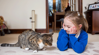 tabby cat sitting next to little girl lying on the carpet