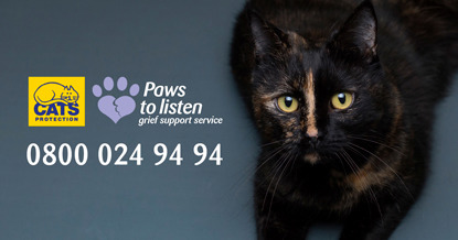 Paws to listen logo banner