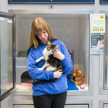 Cats Protection cat desensitisation volunteer holding white and tabby cat