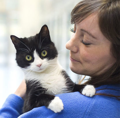 brunette woman holding black and white cat