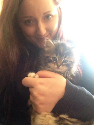 woman holding a tabby kitten