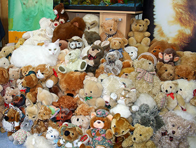 white cat hidden among teddy bears