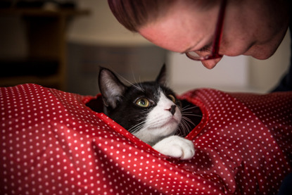 blonde woman looking at black and white cat in red hide bed