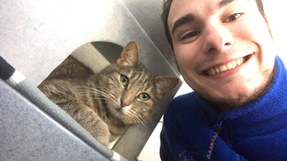 Man with tabby cat in Cats Protection centre pen