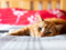 Ginger-and-white cat lying on a grey blanket with their head resting on the fabric.