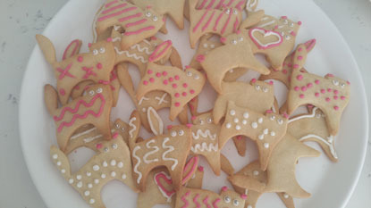 cat shaped biscuits with pink and white icing