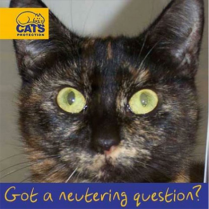 Got a neutering question?