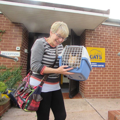 woman holding ginger cat in cat pen