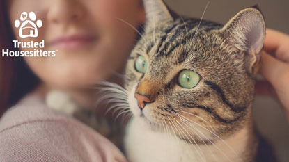 close up of tabby cat and Trusted Housesitters logo