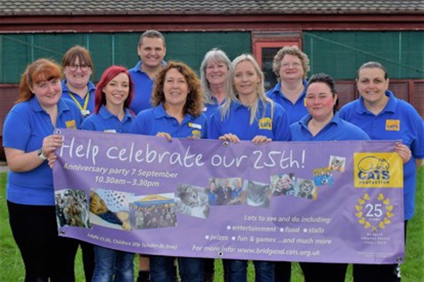 Bridgend Adoption Centre celebrates helping 33,000 cats in 25 years