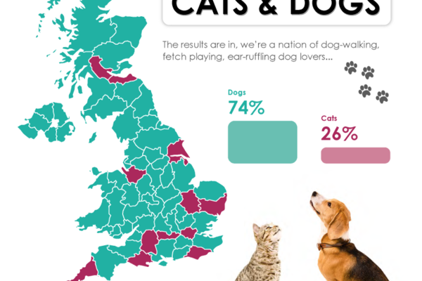 Do you live in a cat-crazy hotspot?