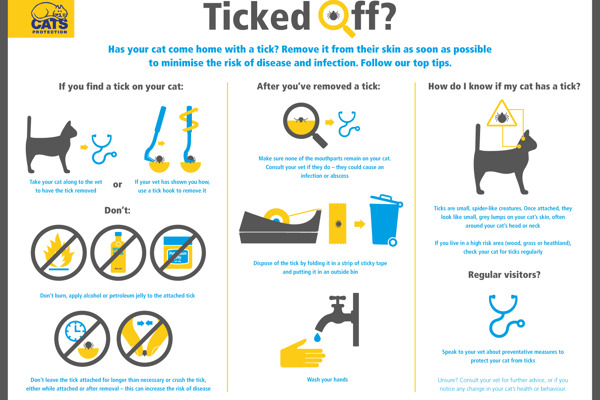 How to remove a tick from your cat