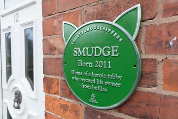 Pet Plaques commemorate the UK’s amazing cats