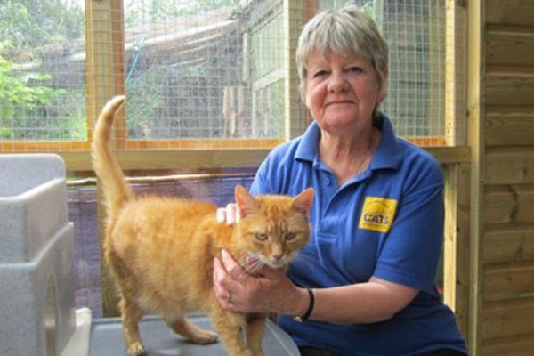 Daredevil cat lover celebrates 70th birthday with 130mph wing walk