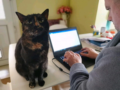 tortoiseshell cat sitting on desk next to man using laptop