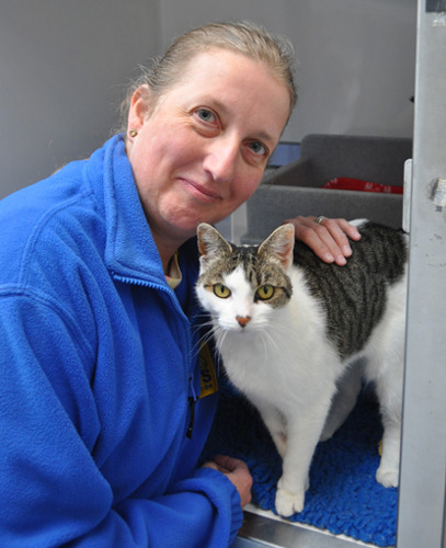 fair-haired woman in blue Cats Protection fleece stroking white and tabby cat in cat pen