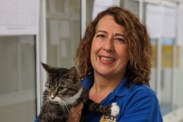 Cat careers: Finding your purrfect job at Cats Protection