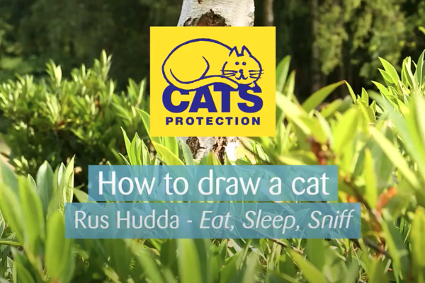 How to draw a cat